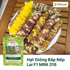 Hạt Giống Bắp Nếp Lai F1 MINI 316 - Hai Mũi Tên Đỏ