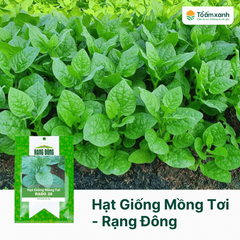 Hạt Giống Mồng Tơi - Rạng Đông  20 gram