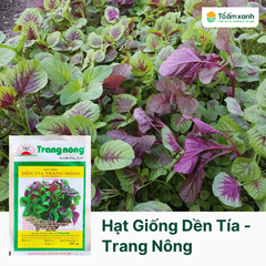 Hạt Giống Dền Tía - Trang Nông