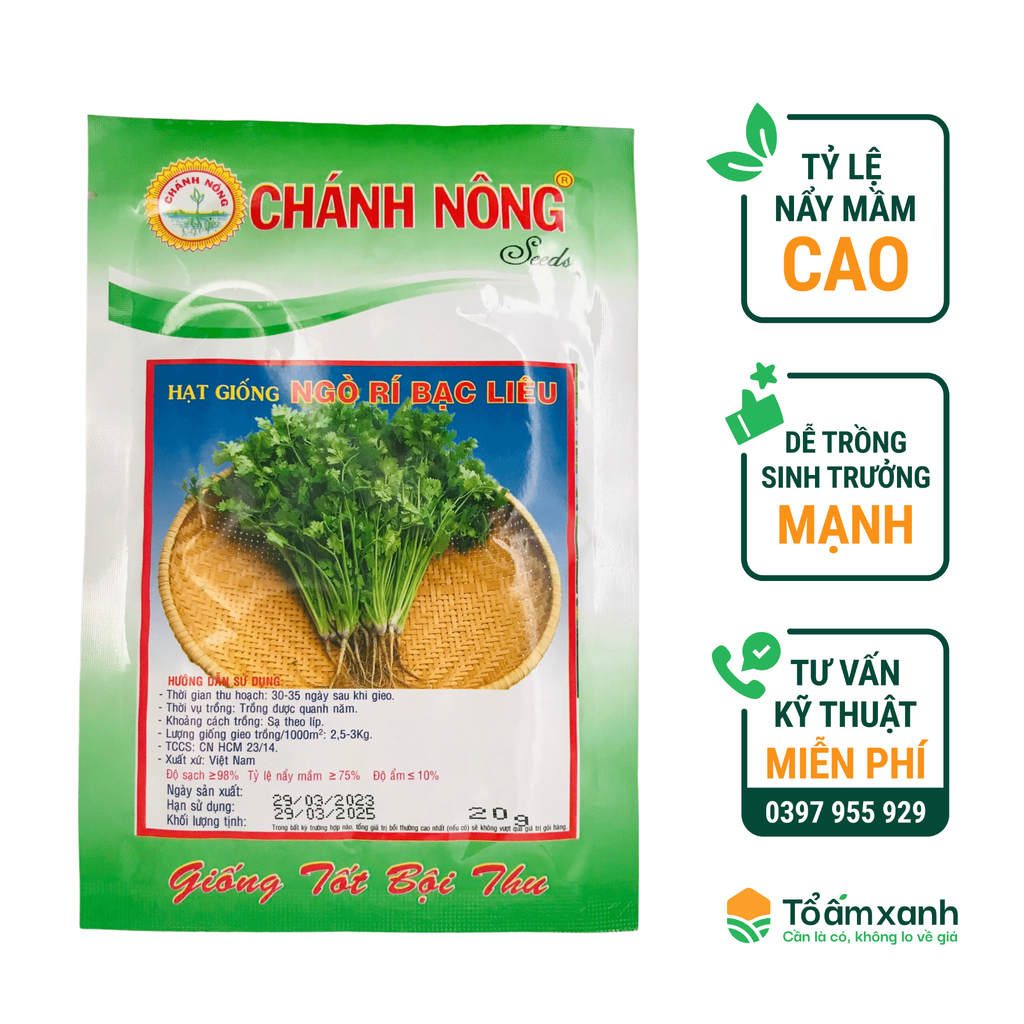 Hạt Giống Ngò Rí Bạc Liêu - Chánh Nông