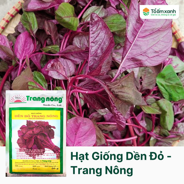 Hạt Giống Dền Đỏ - Trang Nông