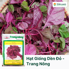 Hạt Giống Dền Đỏ - Trang Nông