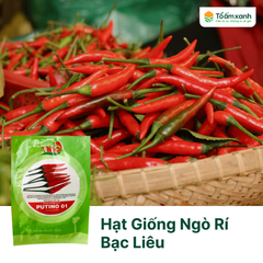 Hạt Giống Ớt Hiểm Lai F1 PUTINO 01 - VINO