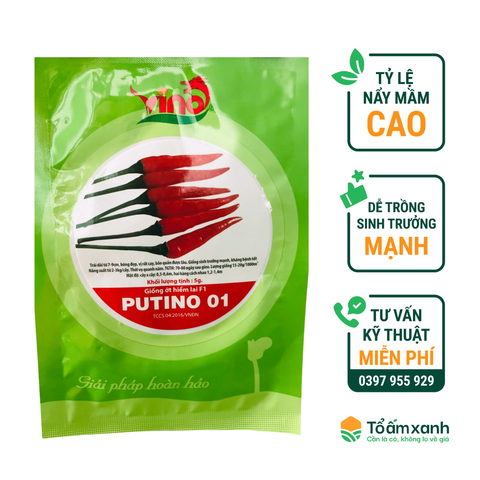 Hạt Giống Ớt Hiểm Lai F1 PUTINO 01 - VINO