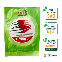 Hạt Giống Ớt Hiểm Lai F1 PUTINO 01 - VINO