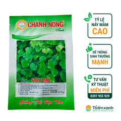 Hạt Giống Rau Má - Chánh Nông