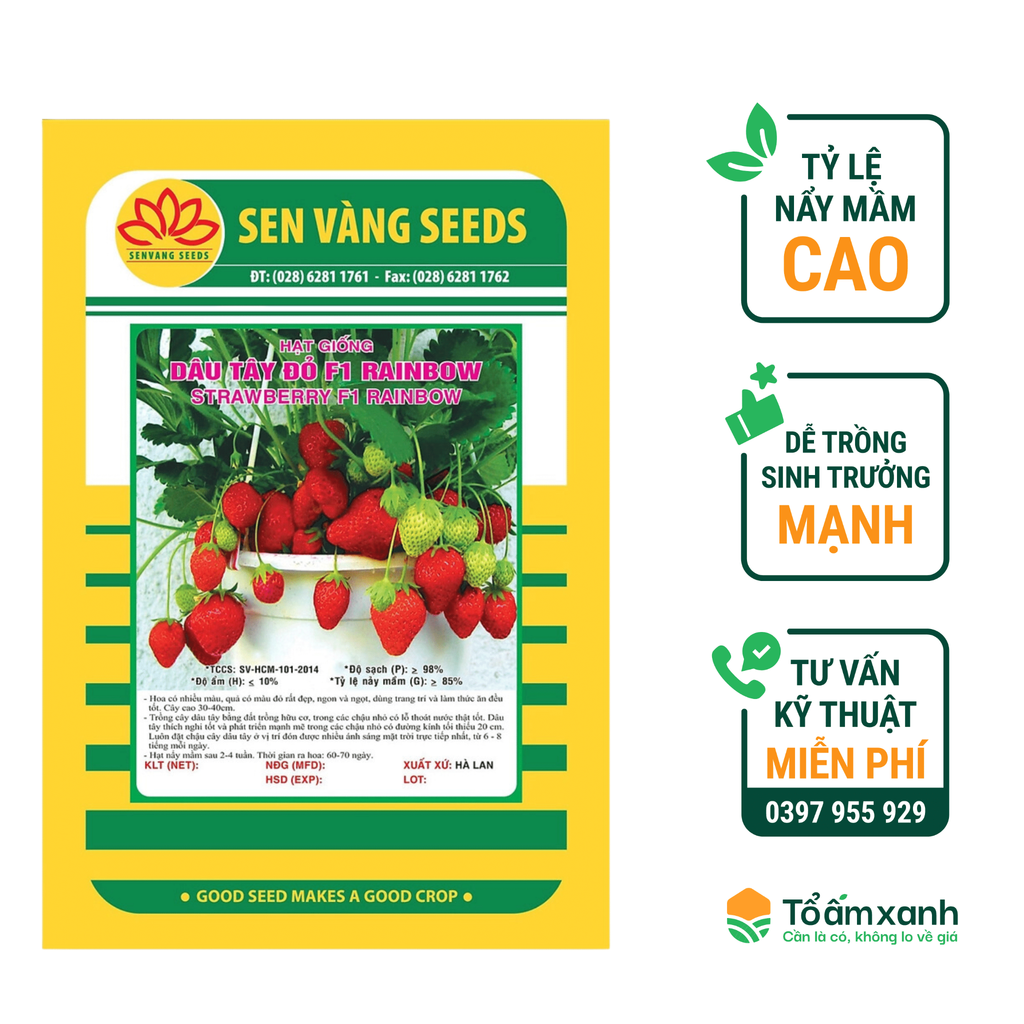Hạt Giống Dâu Tây Đỏ F1 RAINBOW - Sen Vàng