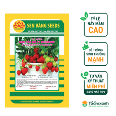 Hạt Giống Dâu Tây Đỏ F1 RAINBOW - Sen Vàng