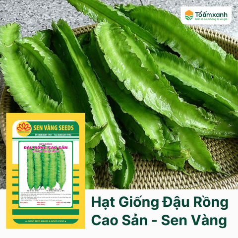 Hạt Giống Đậu Rồng Cao Sản - Sen Vàng