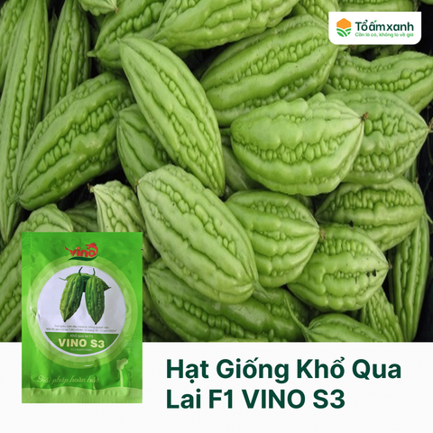 Hạt Giống Khổ Qua Lai F1 VINO S3 - 100 Hạt