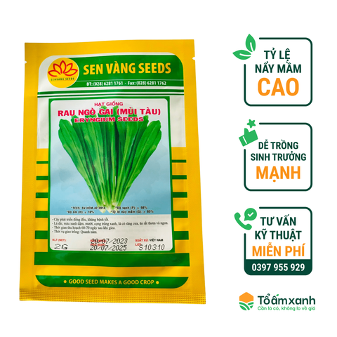 Hạt Giống Ngò Gai (Mùi Tàu) - Sen Vàng