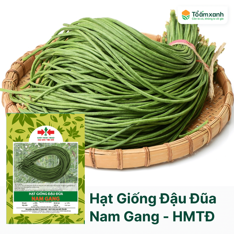 Hạt Giống Đậu Đũa Nam Gang - Hai Mũi Tên Đỏ