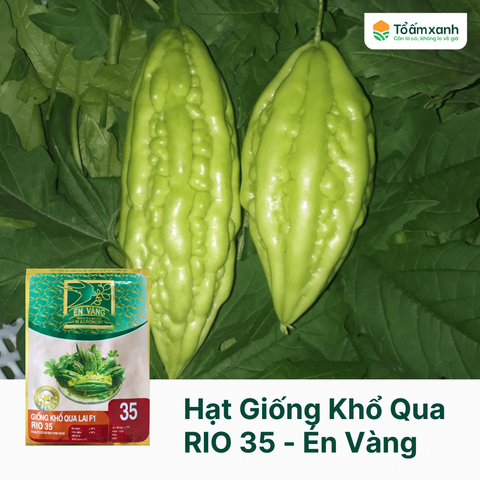 Hạt Giống Khổ Qua RIO 35 - Én Vàng 12 Hạt