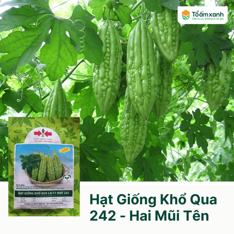 Hạt Giống Khổ Qua 242 - Hai Mũi Tên Đỏ 20 gram