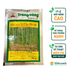 Hạt Giống Đậu Đũa Hạt Đỏ 157 - Trang Nông