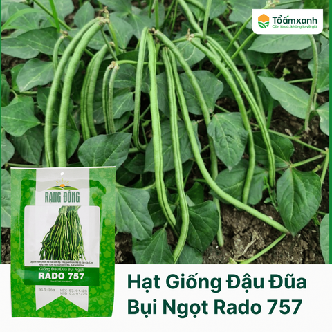 Hạt Giống Đậu Đũa Bụi Ngọt RADO 757 - 20 gram