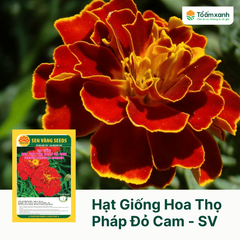 Hạt Giống Hoa Vạn Thọ Pháp Đỏ Cam - Sen Vàng 1 gram