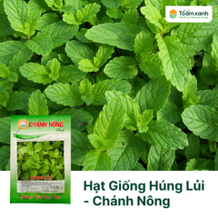Hạt Giống Húng Lủi - Chánh Nông
