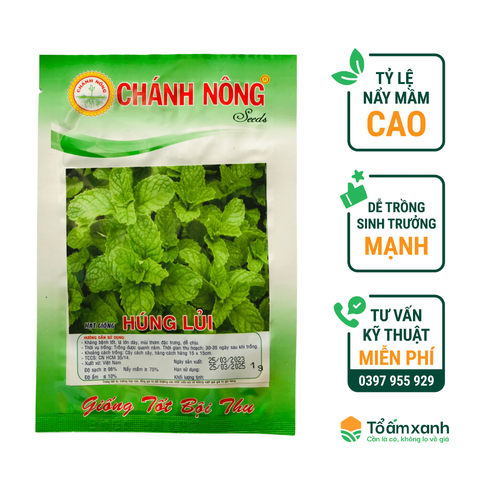 Hạt Giống Húng Lủi - Chánh Nông