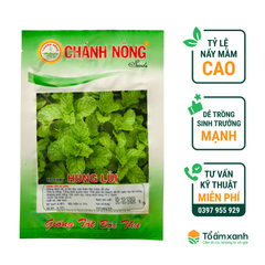 Hạt Giống Húng Lủi - Chánh Nông