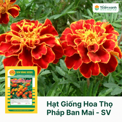 Hạt Giống Hoa Thọ Pháp Ban Mai - Sen Vàng 1 gram