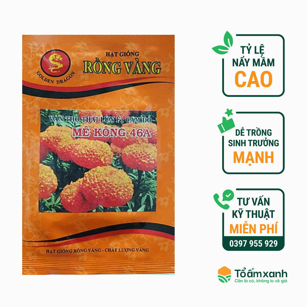 Hạt Giống Hoa Thọ Thái Lùn F1 Cam Đỏ Mê Kông 46A - Rồng Vàng - 1 gram - 300 Hạt
