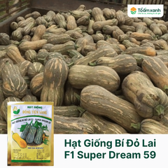 Hạt Giống Bí Đỏ Lai F1 SUPER DREAM 59 - Đồng Tiền Vàng - Năng Xuất Cao