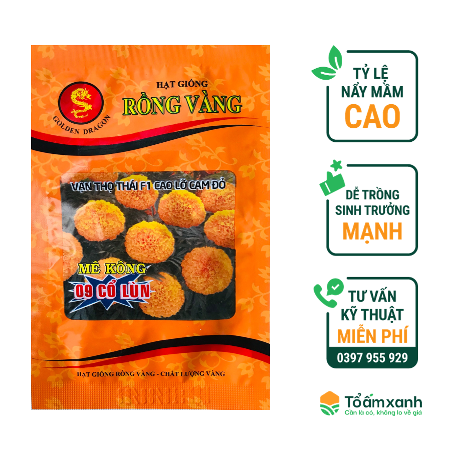 Hạt Giống Hoa Vạn Thọ Thái F1 Cam Đỏ Rồng Vàng 1 gram - 300 Hạt