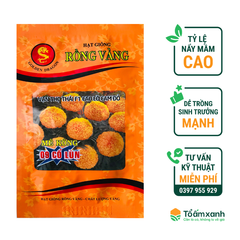 Hạt Giống Hoa Vạn Thọ Thái F1 Cam Đỏ Rồng Vàng 1 gram - 300 Hạt