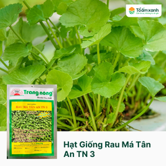 Hạt Giống Rau Má Tân An TN 3