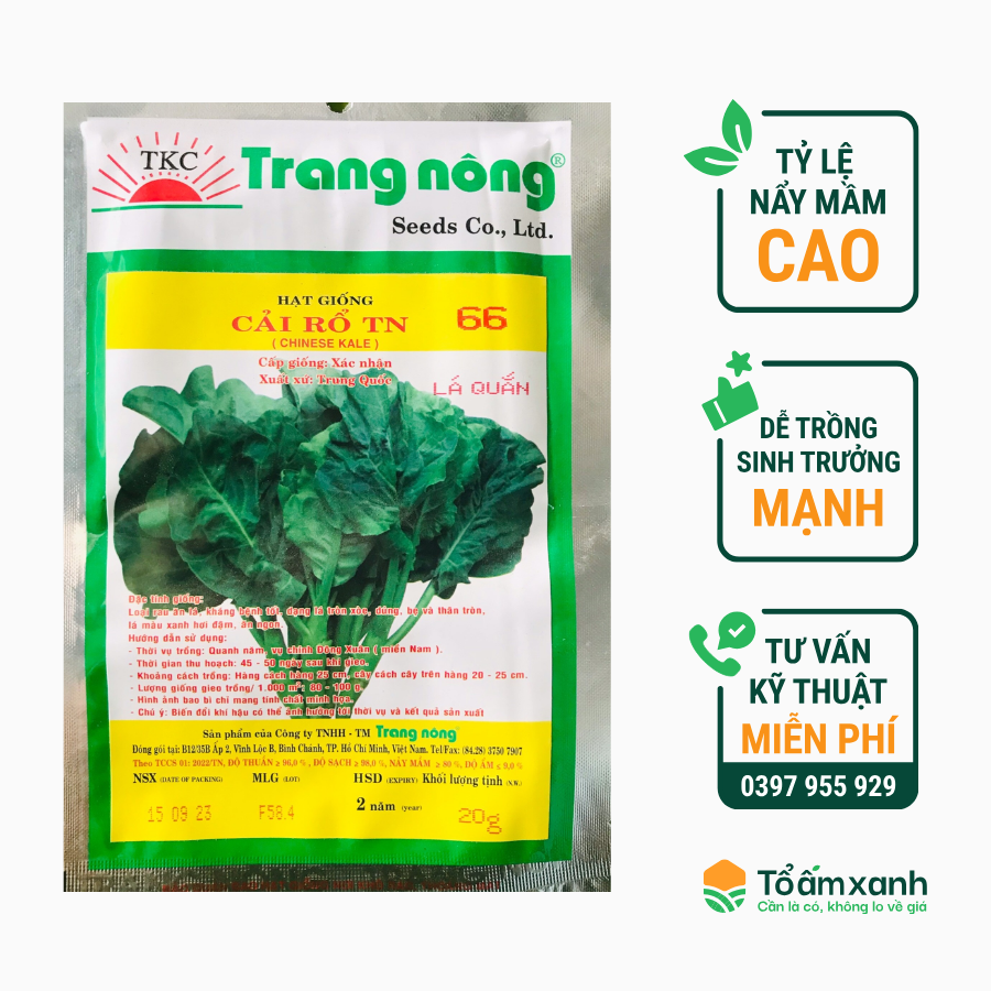 Hạt Giống Cải Rổ TN 66 (Lá Quắn)