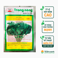 Hạt Giống Cải Rổ TN 66 (Lá Quắn)