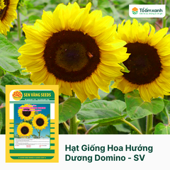 Hạt Giống Hoa Hướng Dương Domino - Sen Vàng