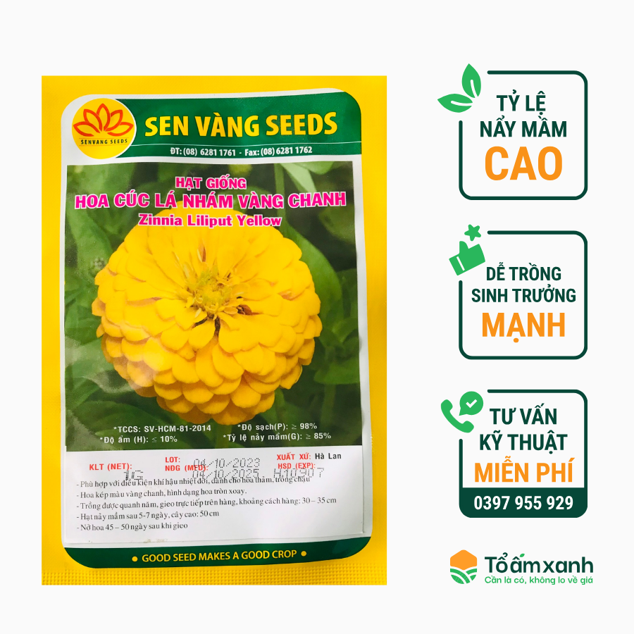 Hạt Giống Hoa Cúc Lá Nhám Vàng Chanh - Sen Vàng