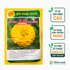 Hạt Giống Hoa Cúc Lá Nhám Vàng Chanh - Sen Vàng