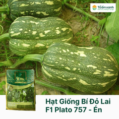 Hạt Giống Bí Đỏ Lai F1 - PLATO 757 - Én Vàng