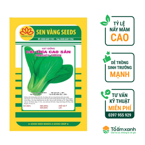 Hạt Giống Cải Thìa Cao Sản - Sen Vàng