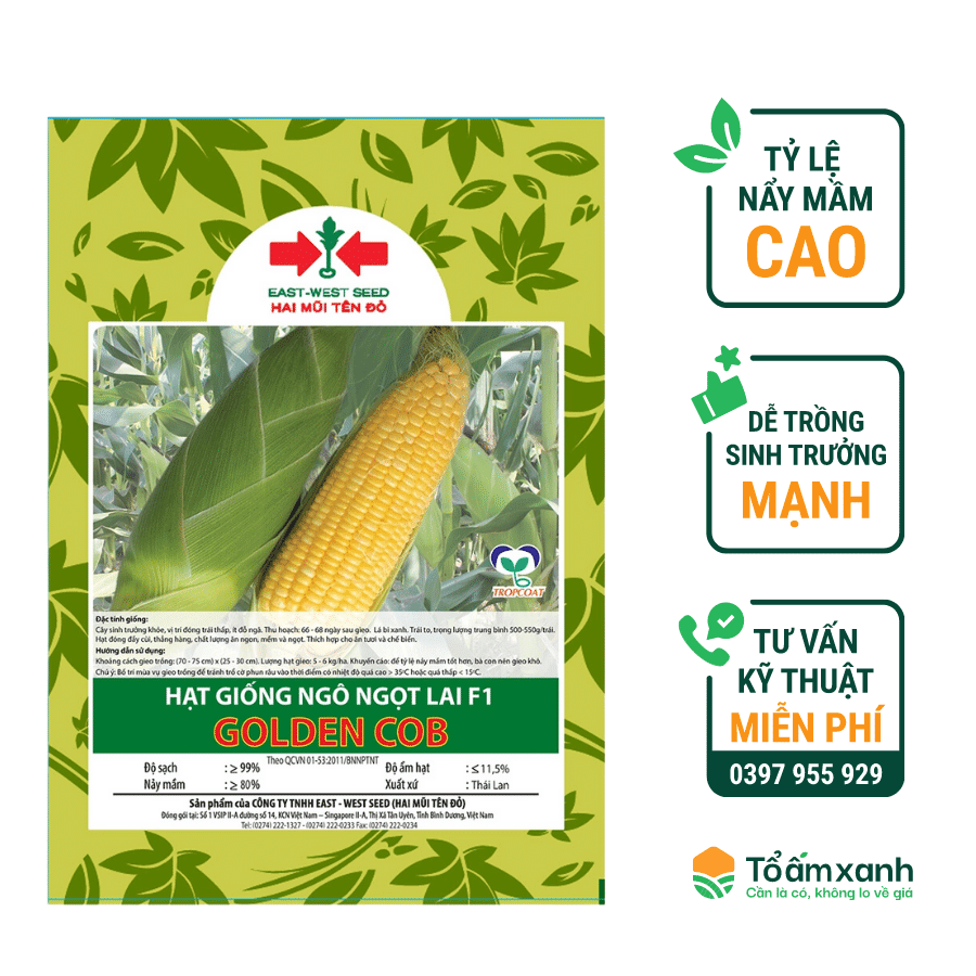 Hạt Giống Bắp Ngọt Lai F1 GOLDENCOB Hai Mũi Tên Đỏ
