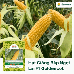 Hạt Giống Bắp Ngọt Lai F1 GOLDENCOB Hai Mũi Tên Đỏ