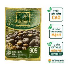 Hạt Giống Bí Đỏ Lai F1 PUTO 909 - Én Vàng