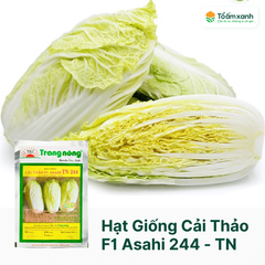 Hạt Giống Cải Thảo F1 ASAHI TN 244 - Trang Nông