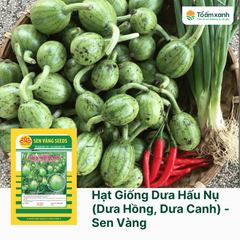 Hạt Giống Dưa Hấu Nụ (Dưa Hồng, Dưa Canh) - Sen Vàng