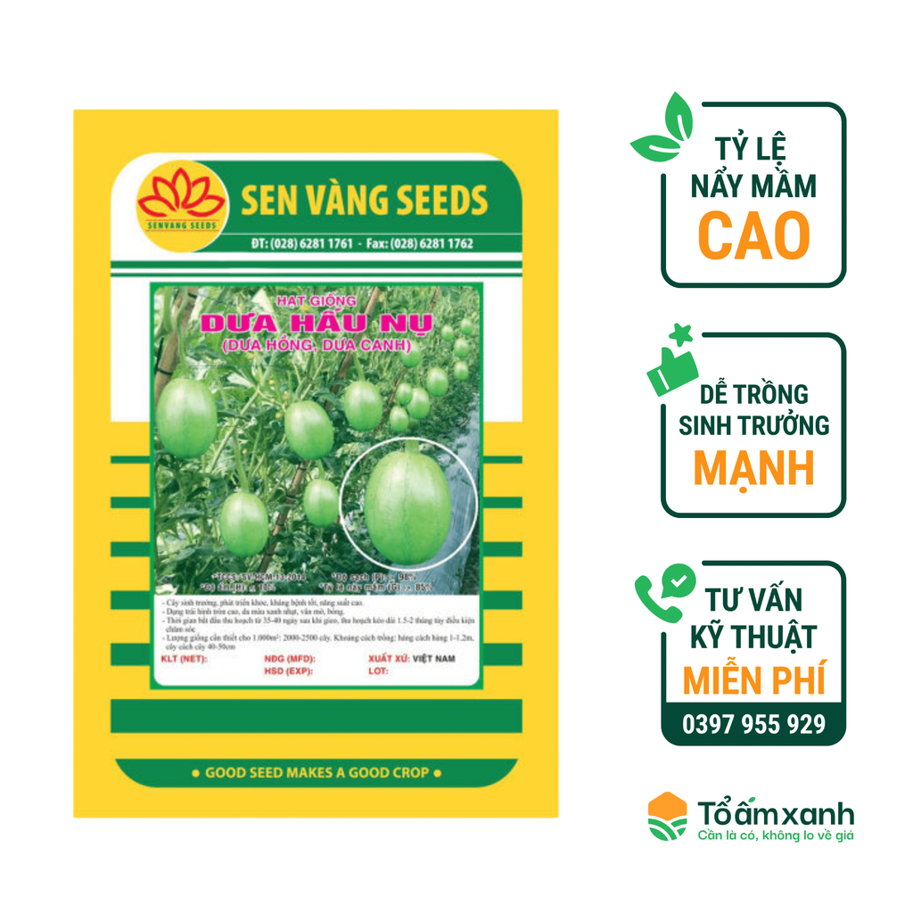 Hạt Giống Dưa Hấu Nụ (Dưa Hồng, Dưa Canh) - Sen Vàng