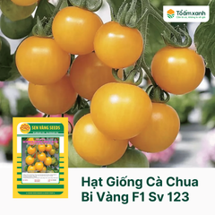 Hạt Giống Cà Chua Bi Vàng F1 SV 123 - Sen Vàng