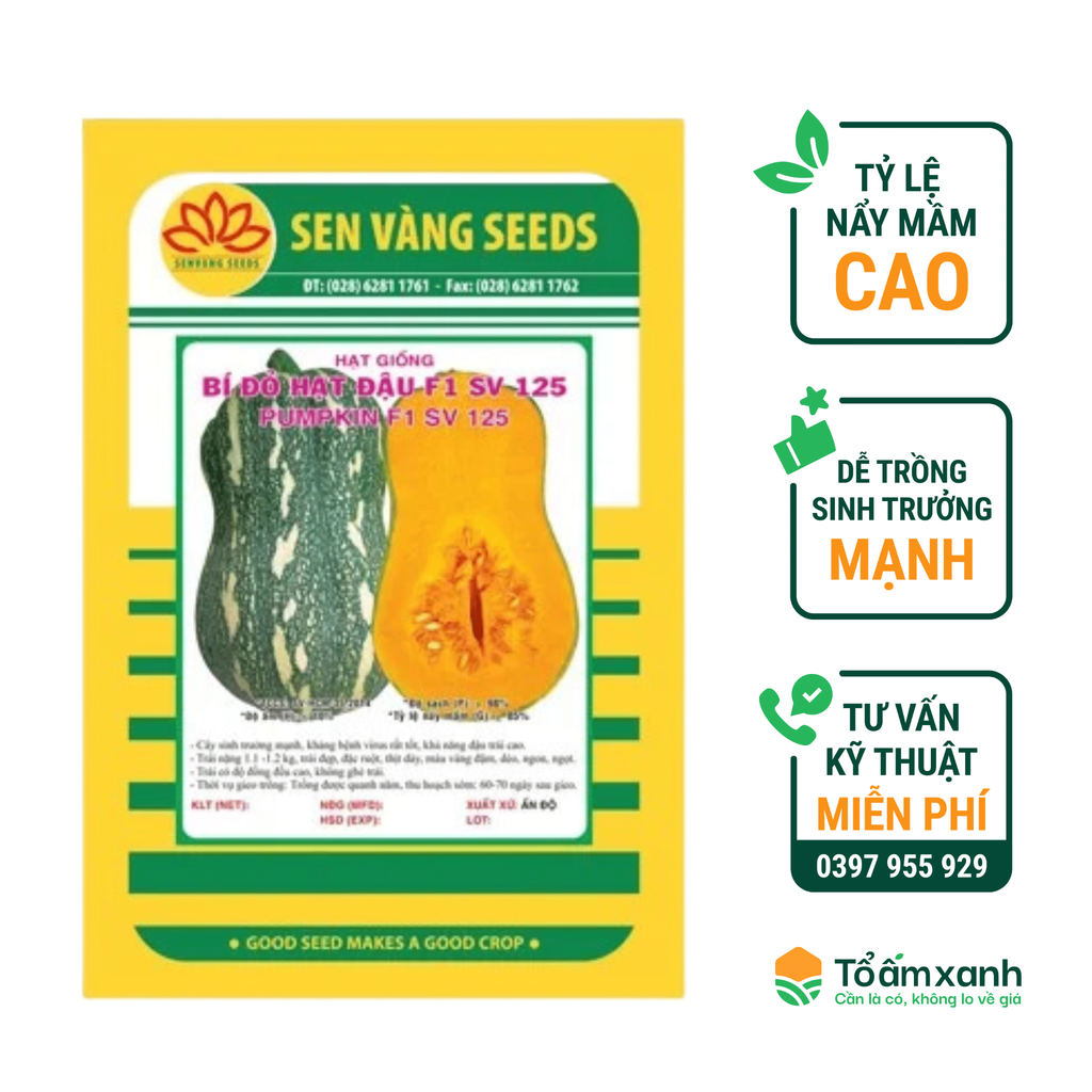 Hạt Giống Bí Đỏ Hạt Đậu F1 SV 125 - Sen Vàng