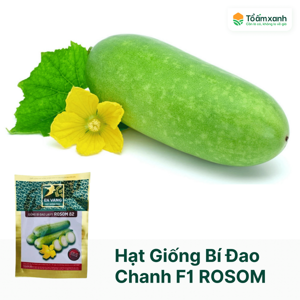 Hạt Giống Bí Đao Chanh Lai F1 ROSOM 82 - Én Vàng -  2 gram