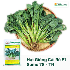 Hạt Giống Cải Rổ F1 - SUMO TN 78 - Trang Nông