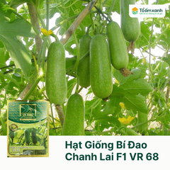 Hạt Giống Bí Đao Chanh Lai F1 VR 68 - Én Vàng