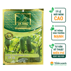 Hạt Giống Bí Đao Chanh Lai F1 VR 68 - Én Vàng