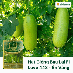 Hạt Giống Bầu Lai F1 LEVO 448 - Én Vàng